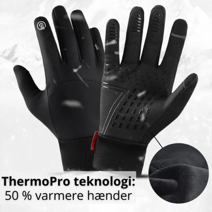 Vinterhandsker